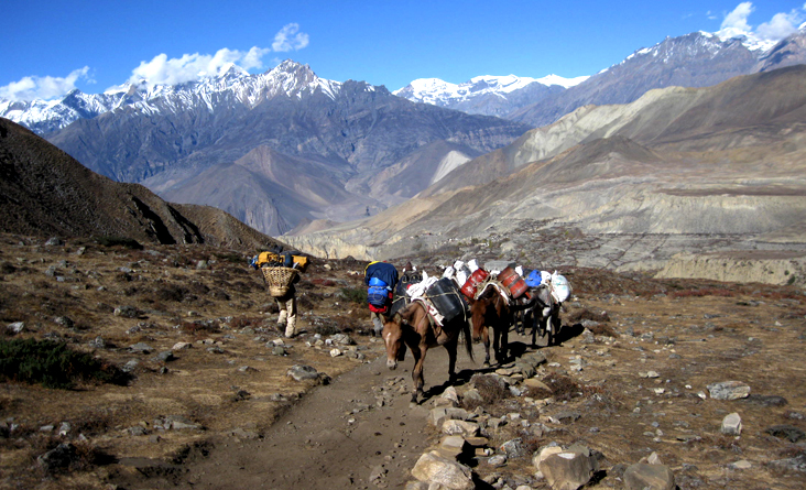 Jomsom Mustang